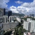 Shatin GOLDEN LION GDN PH 02 BLK G GLN CORONET