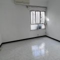 Shatin GOLDEN LION GDN PH 02 BLK G GLN CORONET