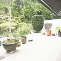 大埔 企嶺下老圍