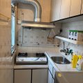 Shatin GOLDEN LION GDN PH 02 BLK G GLN CORONET