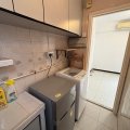 Shatin GOLDEN LION GDN PH 02 BLK G GLN CORONET