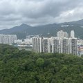 沙田 愉田苑 F座 愉悅閣