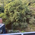 沙田 荟荞 1翼