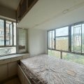 Shatin GOLDEN LION GDN PH 01