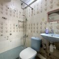 Shatin GOLDEN LION GDN PH 01
