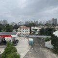 Fanling SWALLOW GDN