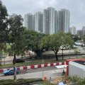 Fanling SWALLOW GDN