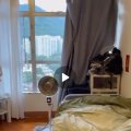 沙田 文禮閣