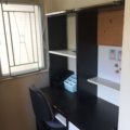 Shatin GOLDEN LION GDN PH 01