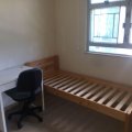 Shatin GOLDEN LION GDN PH 01