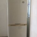 Shatin GOLDEN LION GDN PH 01