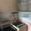 Shatin GOLDEN LION GDN PH 01