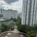 粉嶺 祥華村 祥景樓