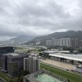 Shatin PALAZZO