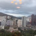 Shatin SCENERY GDN BLK B