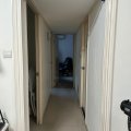 Shatin YU CHUI COURT PH 01 BLK L (HOS)