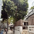 沙田 排頭村