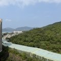 馬鞍山 翠擁華庭 第06座