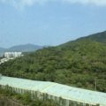 馬鞍山 翠擁華庭 第06座