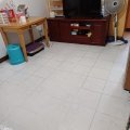 Sheung Shui TAI PING EST BLK B PING CHING HSE