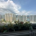 馬鞍山 錦駿苑 D座 駿駒閣