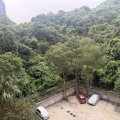 Shatin GREENVIEW GDN
