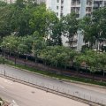 Fanling YAN SHING COURT BLK B (HOS)