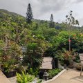 Sai Kung LUNG MEI TSUEN