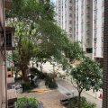 Shatin CARADO GDN