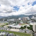 Shatin PALAZZO