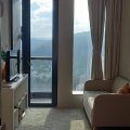 Shatin THE PAVILIA FARM II