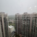粉岭 牵晴间 第11座