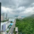 沙田 春晖花园