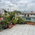 大埔 西澳村