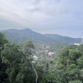 沙田 湖景花園 第02座