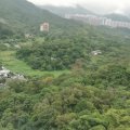 粉嶺 山麗苑 F座 橋山閣