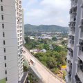 粉岭 山丽苑 D座 梨山阁