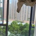 马鞍山 海栢花园 第03座