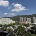 沙田 名城 第03期 盛世 - 真方便