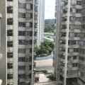 沙田 金禧花园
