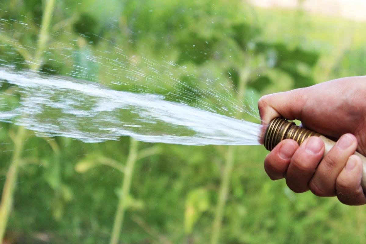 泰晤士河水公司宣佈在白金漢郡和伯克郡禁止使用水龍橡膠軟管