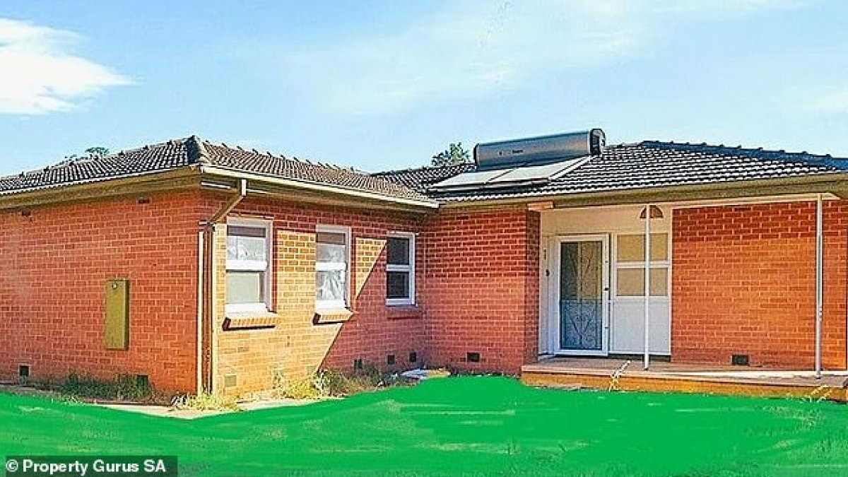 房地产经纪人试图将郁郁葱葱的绿色草坪拍摄到澳大利亚郊区的一栋房屋上，这太过分了：“那是一种叫做‘切尔诺贝利’的新草。”