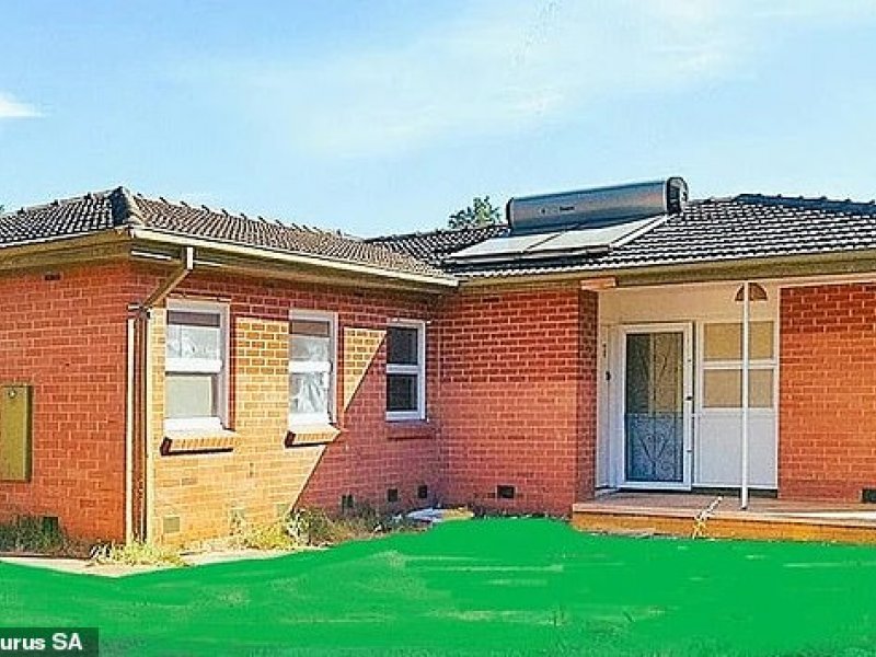 房地产经纪人试图将郁郁葱葱的绿色草坪拍摄到澳大利亚郊区的一栋房屋上，这太过分了：“那是一种叫做‘切尔诺贝利’的新草。”