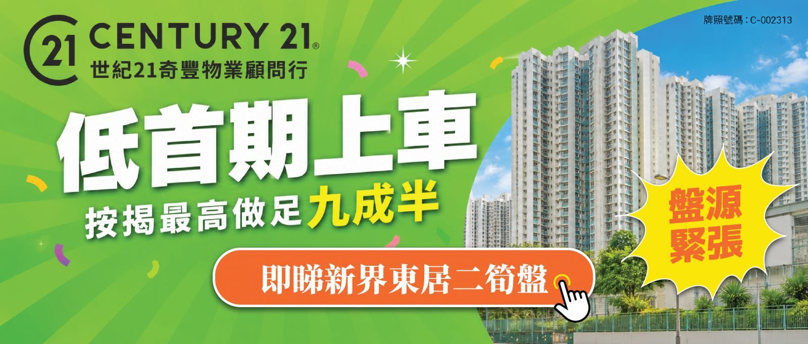 新界东居屋精选笋盘-2025